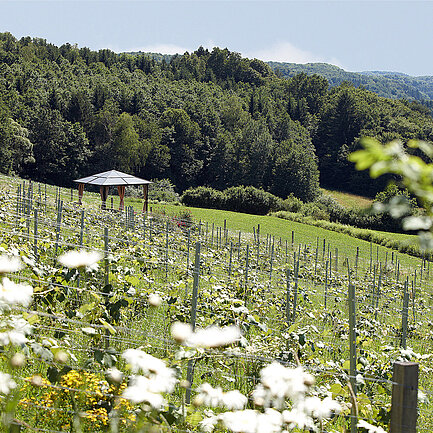 Wiese beim Hotel das Eisenberg.