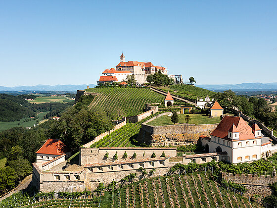 Riegersburg aus der Vogelperspektive.