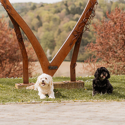 Zwei kleine Hunde liegen vor dem Herz-Aufsteller im Gartenareal vom Hotel das Eisenberg.