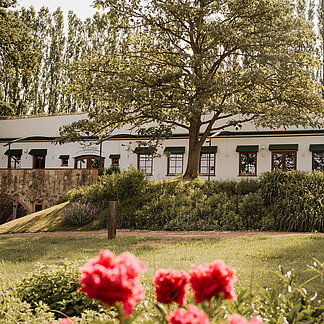 Weingarten Restaurant mit Terrasse direkt im Grünen