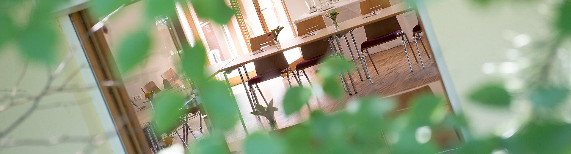 Blick von außen durch die Blätter in den Seminarraum vom Hotel das Eisenberg (c) Jean Van Luelik Photographer.