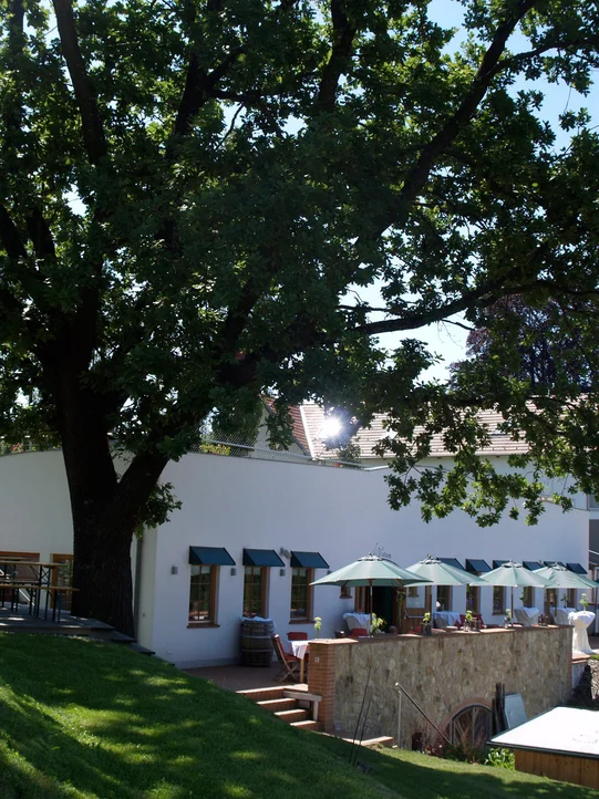 Weingartenrestaurant von außen im Hotel das Eisenberg.