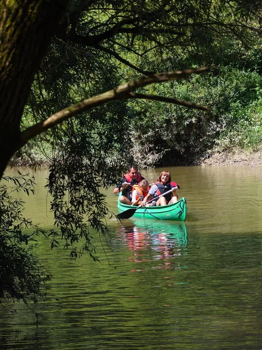 Kanufahrt durch den Naturpark Raab.