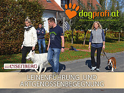 Plakat Seminare mit Hund im Hotel das Eisenberg.