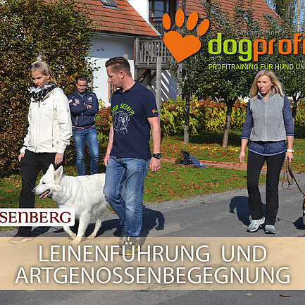 Plakat Seminare mit Hund im Hotel das Eisenberg.